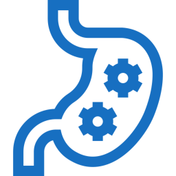Gastroenterologia
